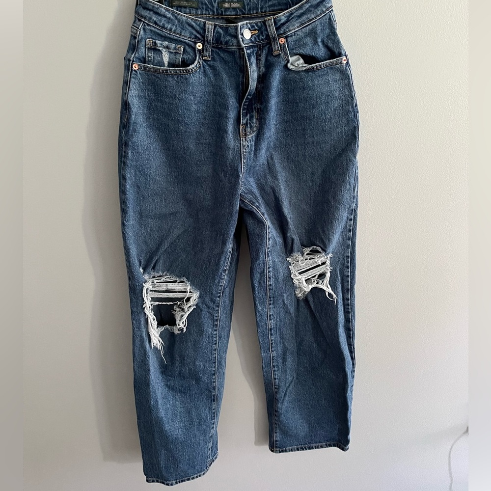 Wild Fable mom jeans